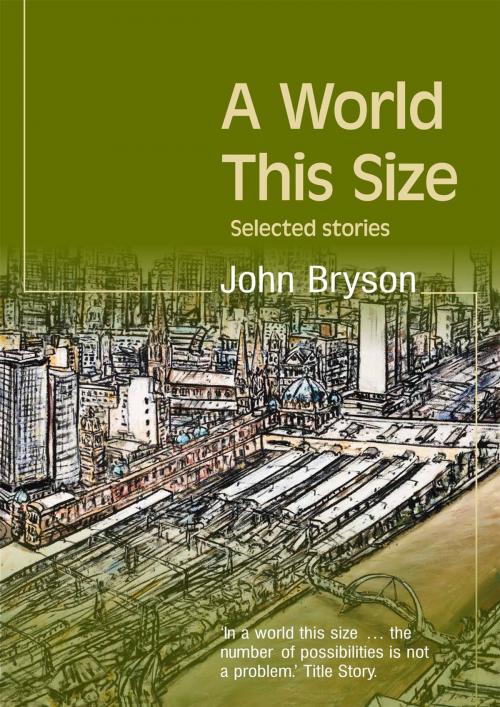 Cover of the book A World This Size by John Bryson, John Bryson