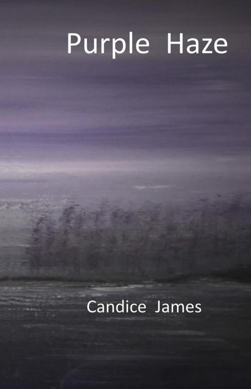 Cover of the book Purple Haze by Candice James, Libros Libertad