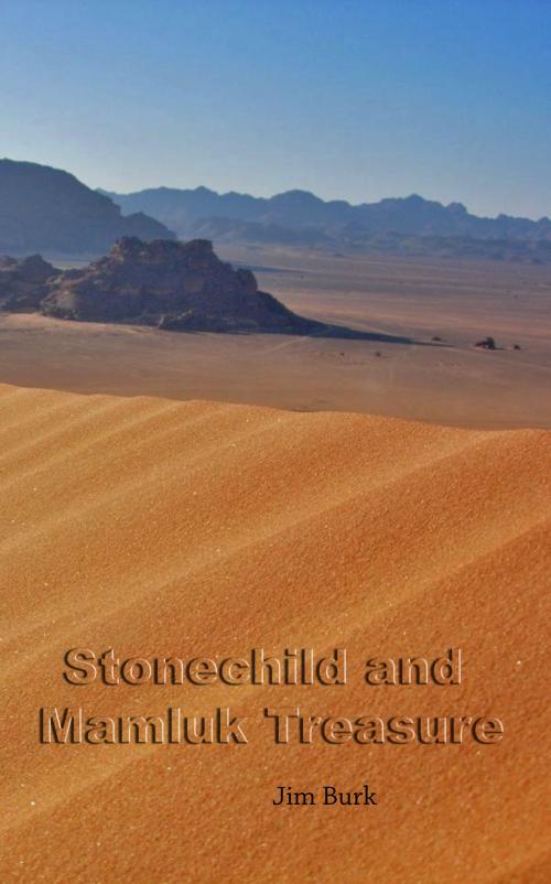 Cover of the book Stonechild and Mamluk Treasure by Jim Burk, Jim Burk