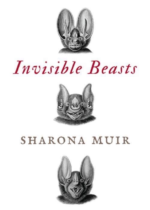 Cover of the book Invisible Beasts by Sharona Muir, Bellevue Literary Press