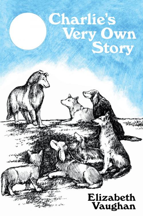 Cover of the book Charlie's Very Own Story by Elizabeth Vaughan, Romeii Media Group