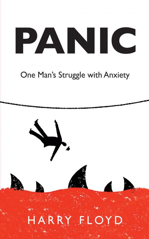 Cover of the book Panic: One Man's Struggle with Anxiety by Harry Floyd, Brandylane Publishers