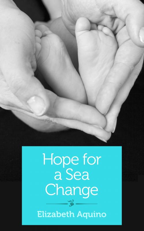 Cover of the book Hope for a Sea Change by Elizabeth Aquino, She Writes Press