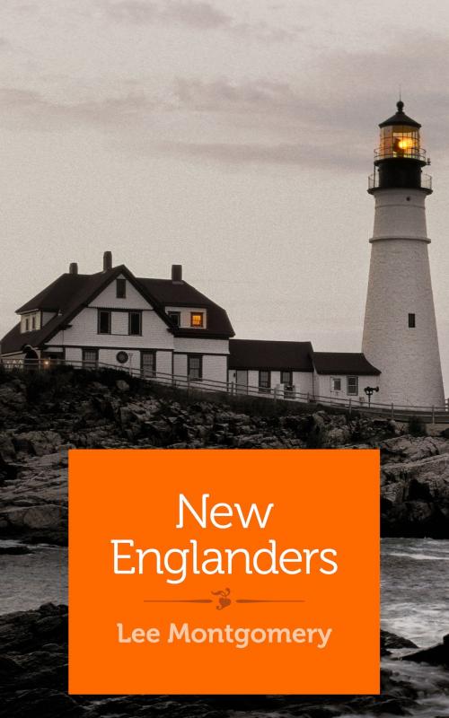 Cover of the book New Englanders by Lee Montgomery, She Writes Press