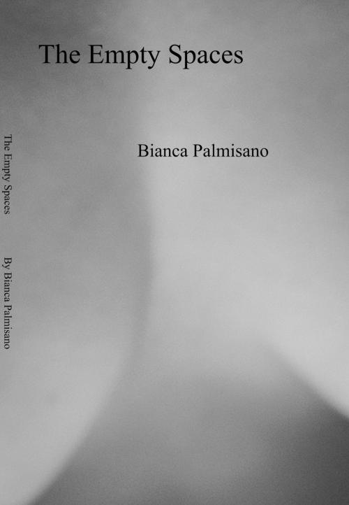 Cover of the book The Empty Spaces by Bianca Palmisano, aois21 publishing