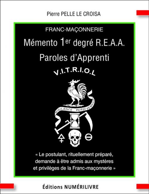 Cover of the book Mémento 1e degré R.E.A.A. Paroles d'Apprenti by Pierre Pelle Le Croisa, Numerilivre