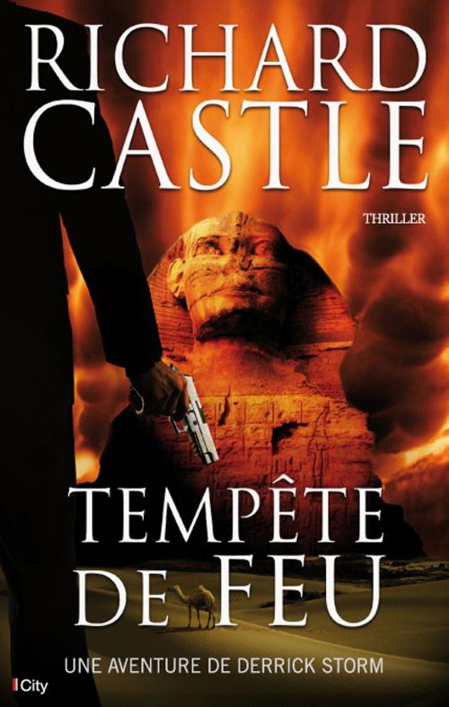 Cover of the book Tempête de Feu by Richard Castle, City Edition