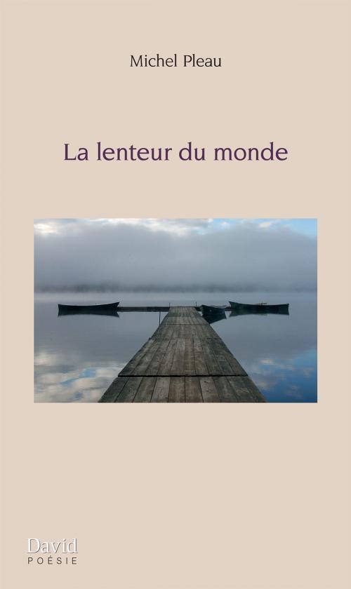 Cover of the book La lenteur du monde by Michel Pleau, Éditions David