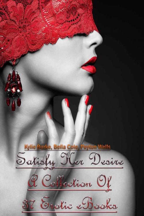 Cover of the book Satisfy Her Desire – A Collection Of 37 Erotic eBooks by Kylie Burke, Peyton Wells, Deltrionne Books