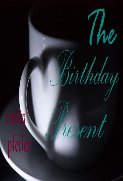 Cover of the book THE BIRTHDAY PRESENT by Cindy Pfeifer, Osmora Inc.