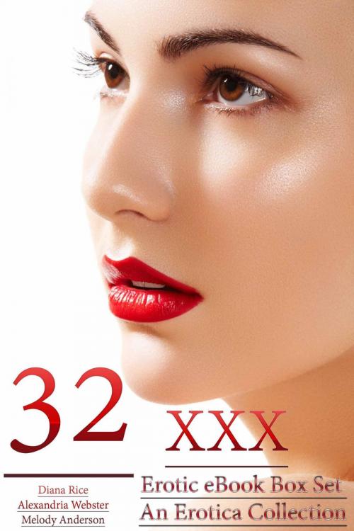 Cover of the book 32 XXX Erotic eBook Box Set – An Erotica Collection by Diana Rice, Melody Anderson, Deltrionne Books