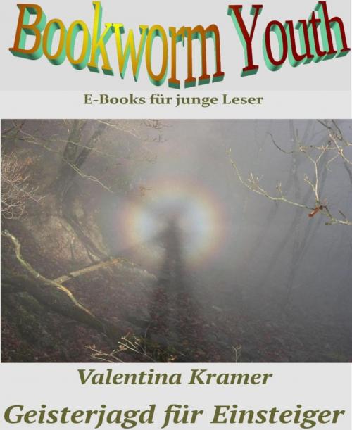 Cover of the book Geisterjagd für Einsteiger by Valentina Kramer, BookRix