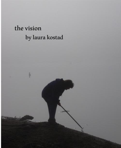 Cover of the book The Vision by Laura Kostad, BookRix