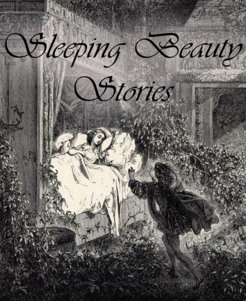 Cover of the book Sleeping Beauty Stories by Andrew Lang, BookRix