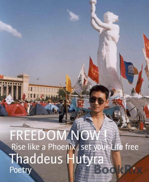 Cover of the book FREEDOM NOW ! by Thaddeus Hutyra, BookRix