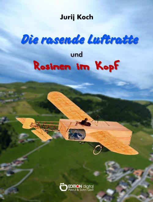 Cover of the book Die rasende Luftratte und Rosinen im Kopf by Jurij Koch, EDITION digital