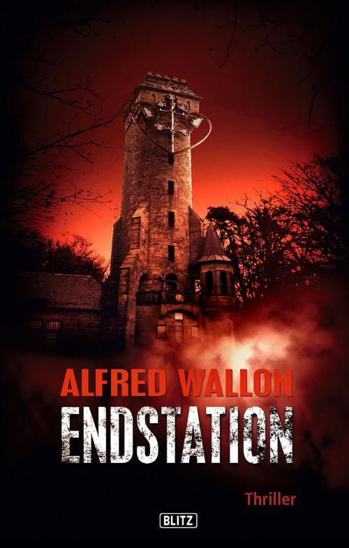 Cover of the book Endstation by Alfred Wallon, BLITZ-Verlag