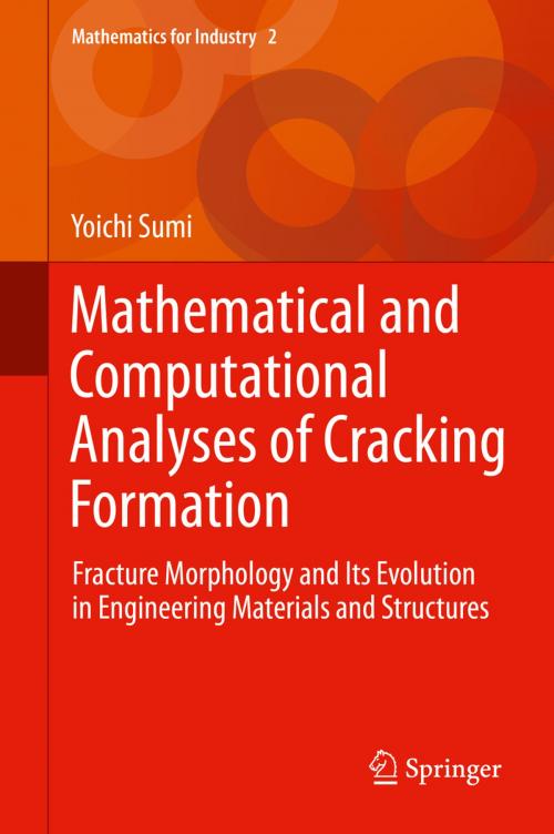 Cover of the book Mathematical and Computational Analyses of Cracking Formation by Yoichi Sumi, Springer Japan