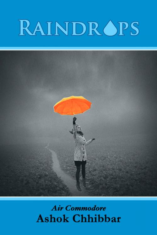 Cover of the book Raindrops by Ashok Chhibbar, YS Books International
