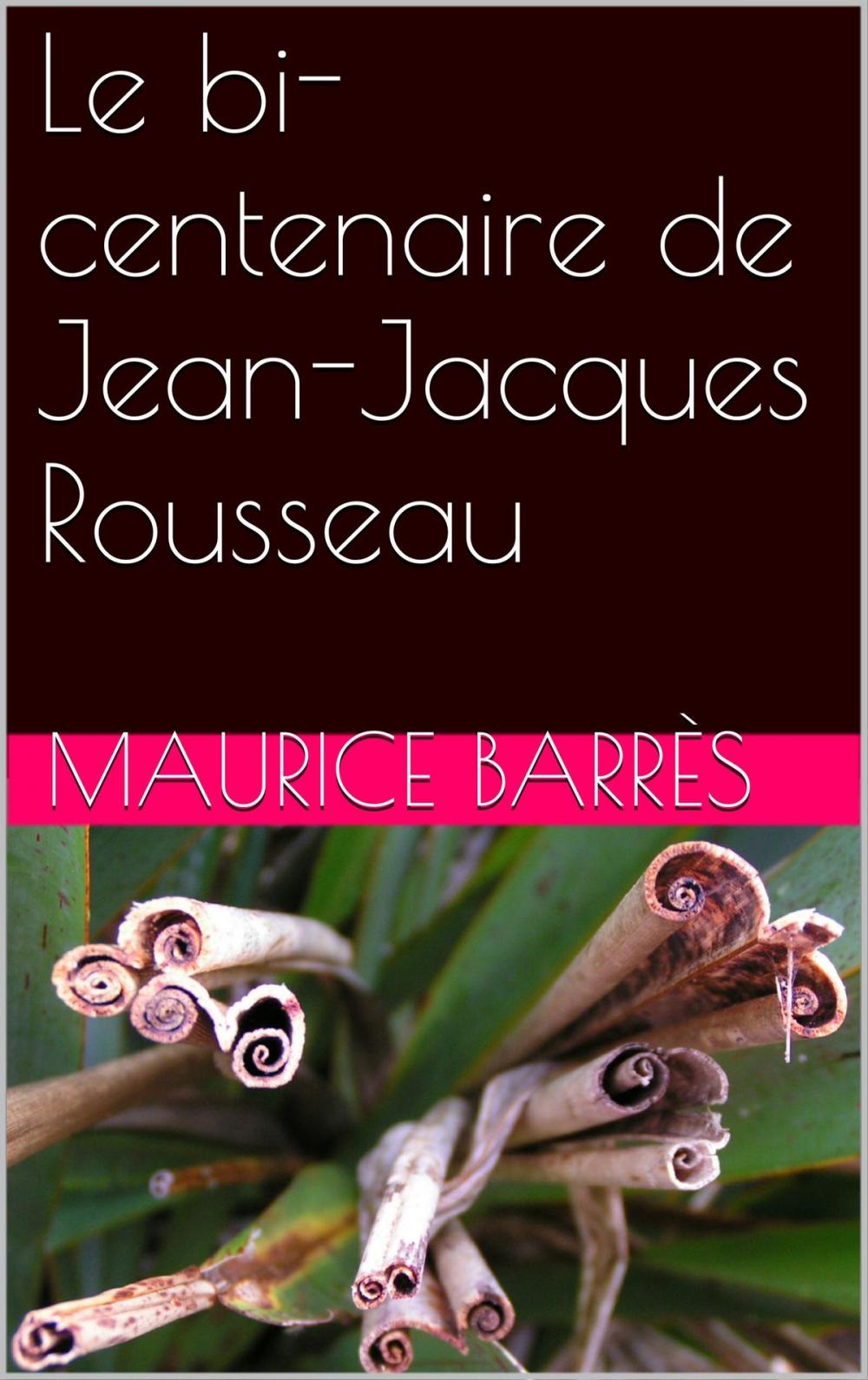 Big bigCover of Le bi-centenaire de Jean-Jacques Rousseau