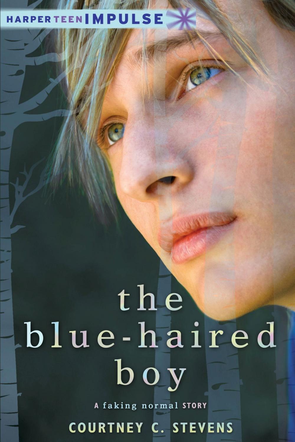Big bigCover of The Blue-Haired Boy