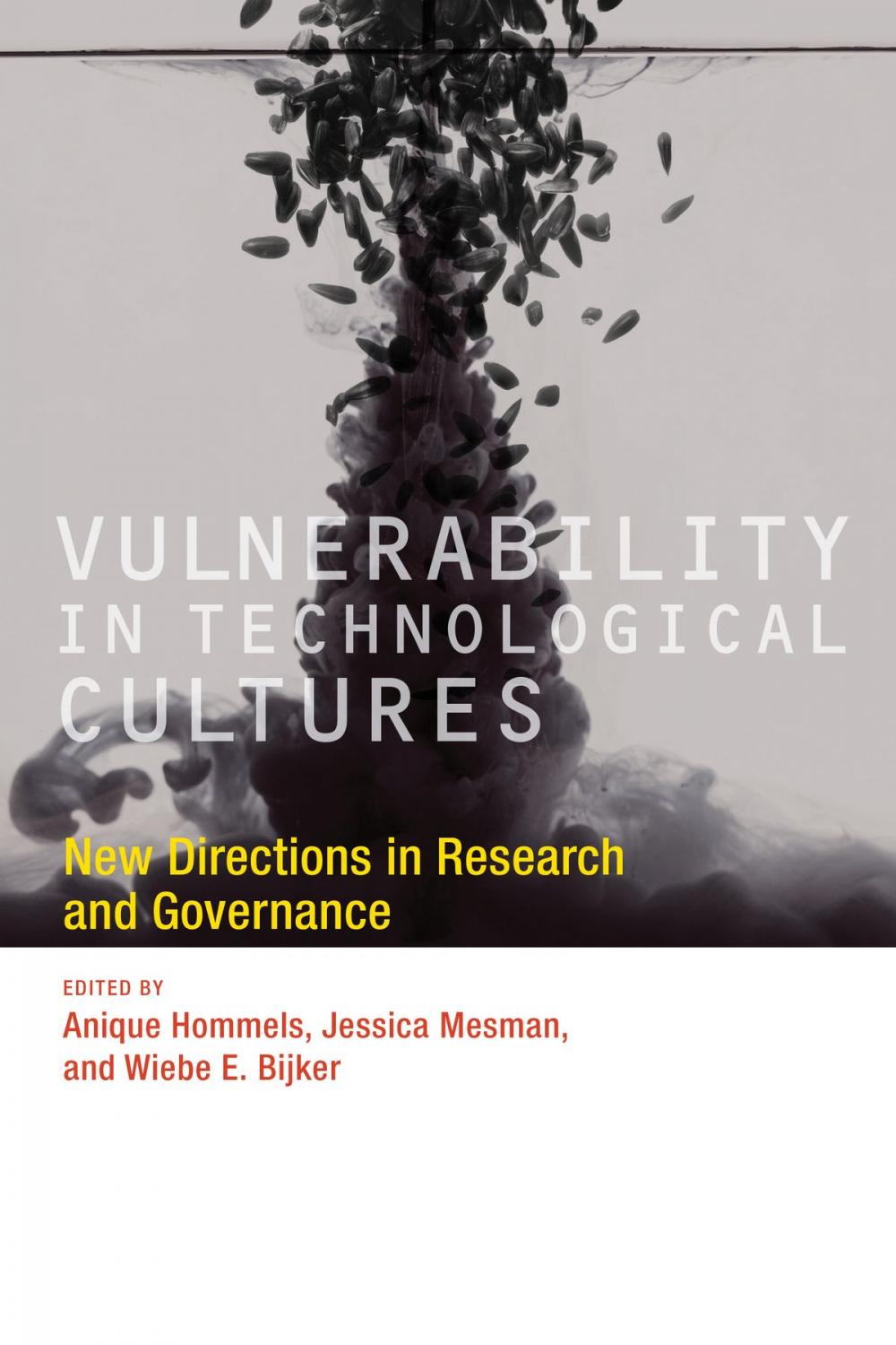 Big bigCover of Vulnerability in Technological Cultures