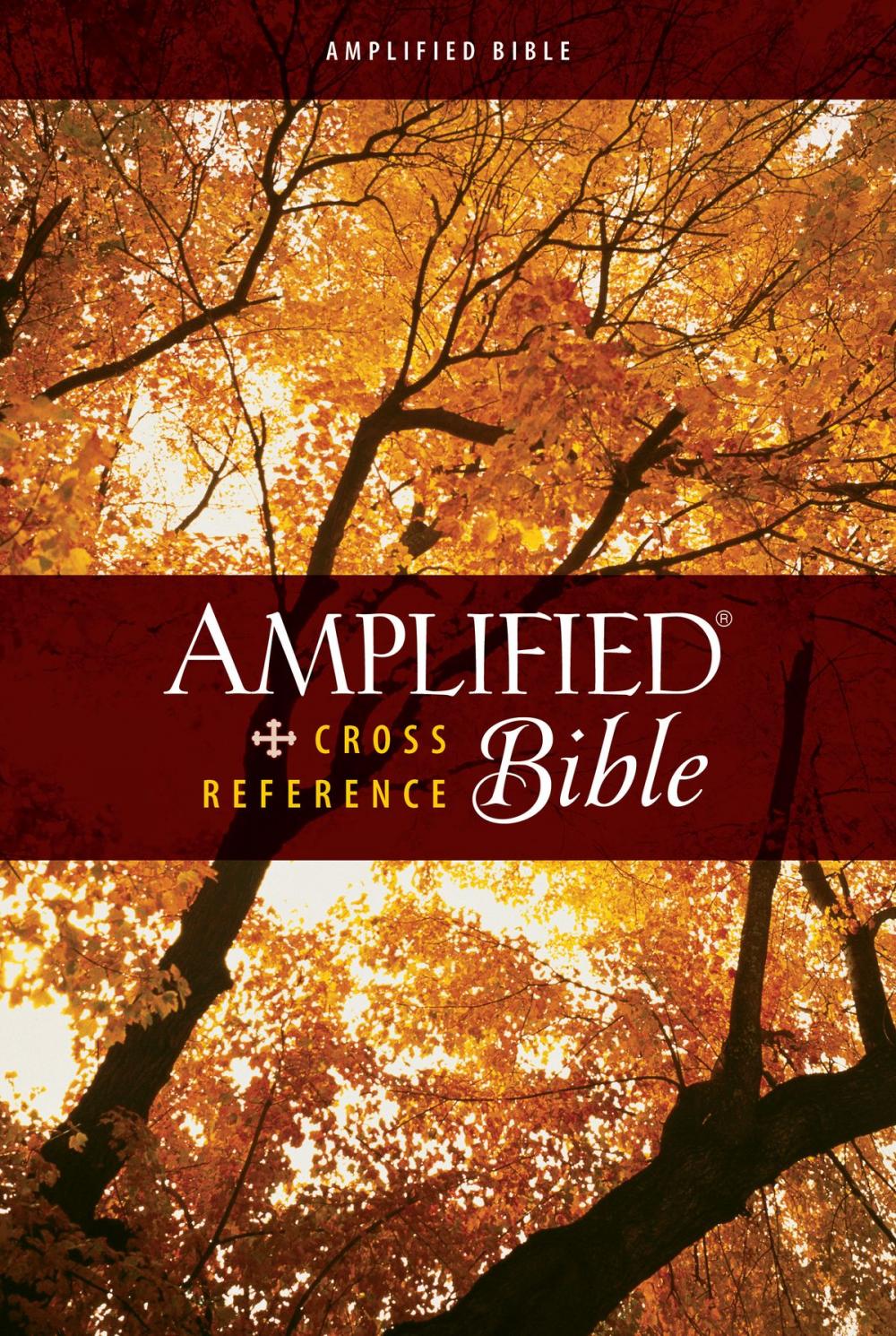 Big bigCover of Amplified Cross-Reference Bible, eBook