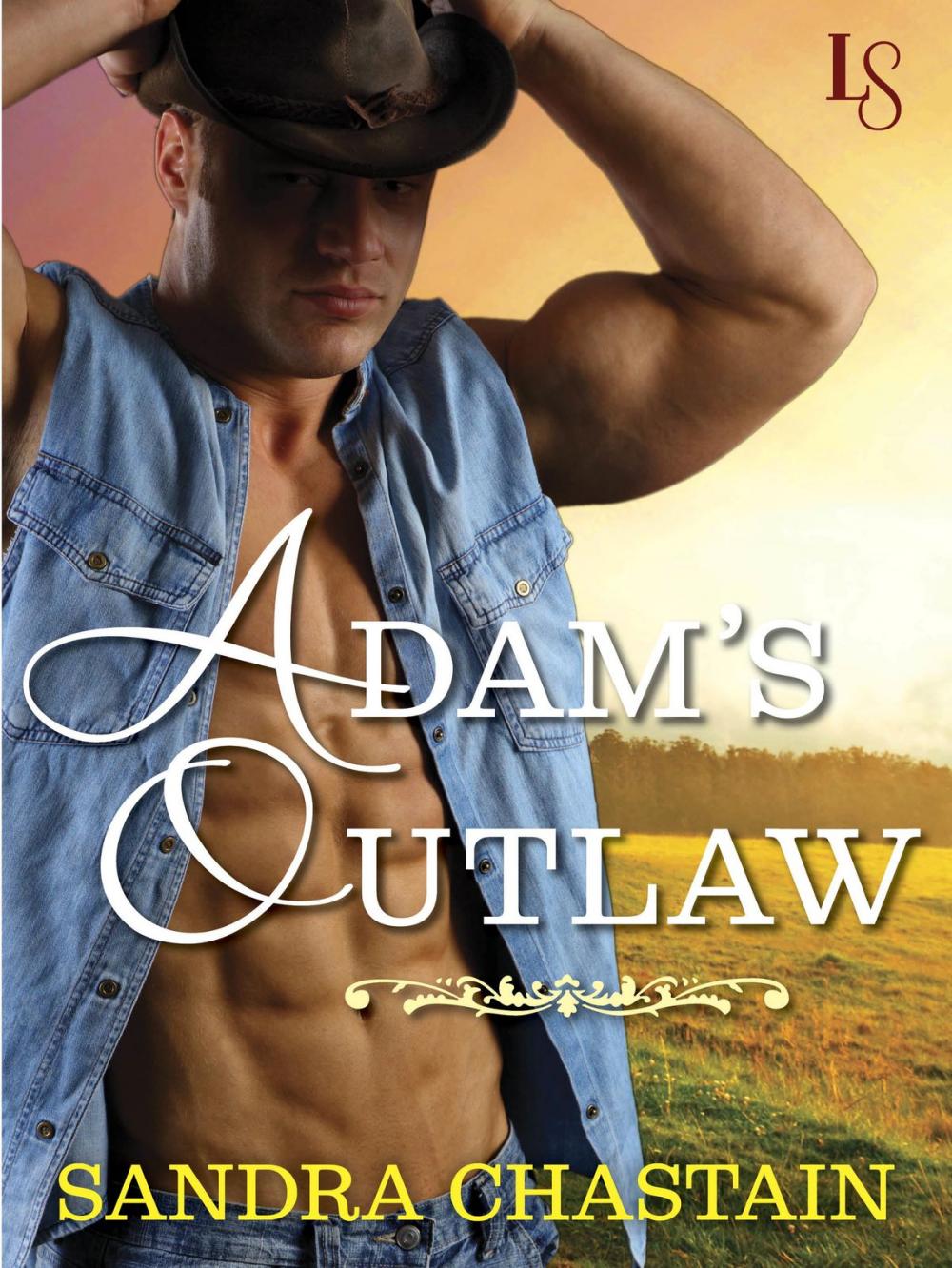 Big bigCover of Adam's Outlaw