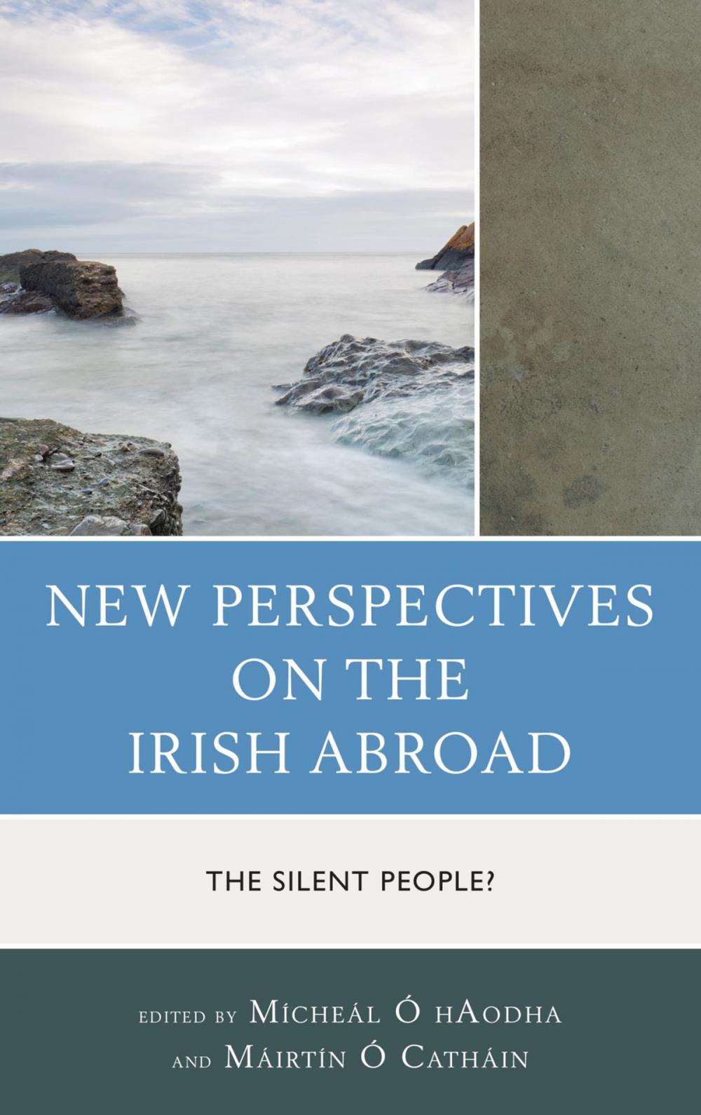 Big bigCover of New Perspectives on the Irish Abroad