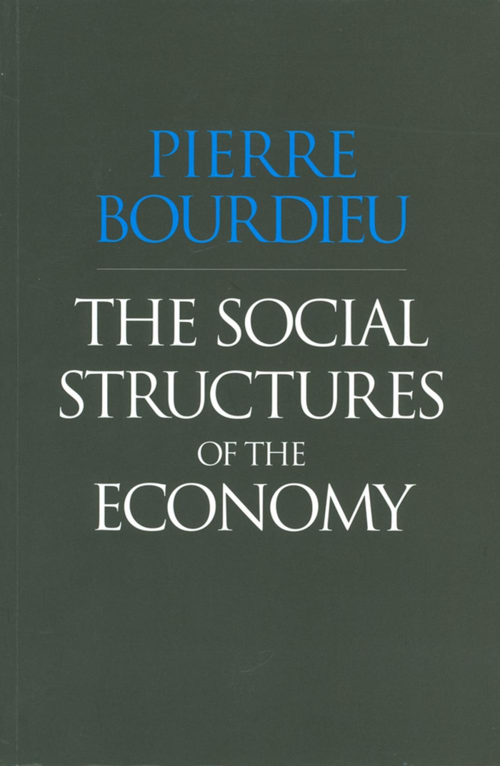 Big bigCover of The Social Structures of the Economy