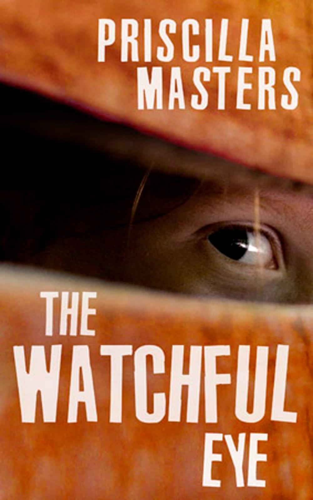 Big bigCover of The Watchful Eye