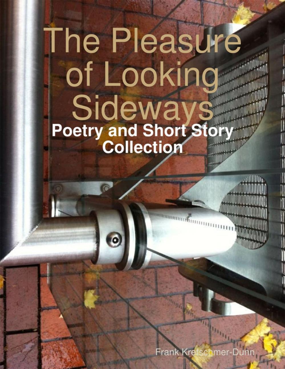 Big bigCover of The Pleasure of Looking Sideways: Poetry and Short Story Collection