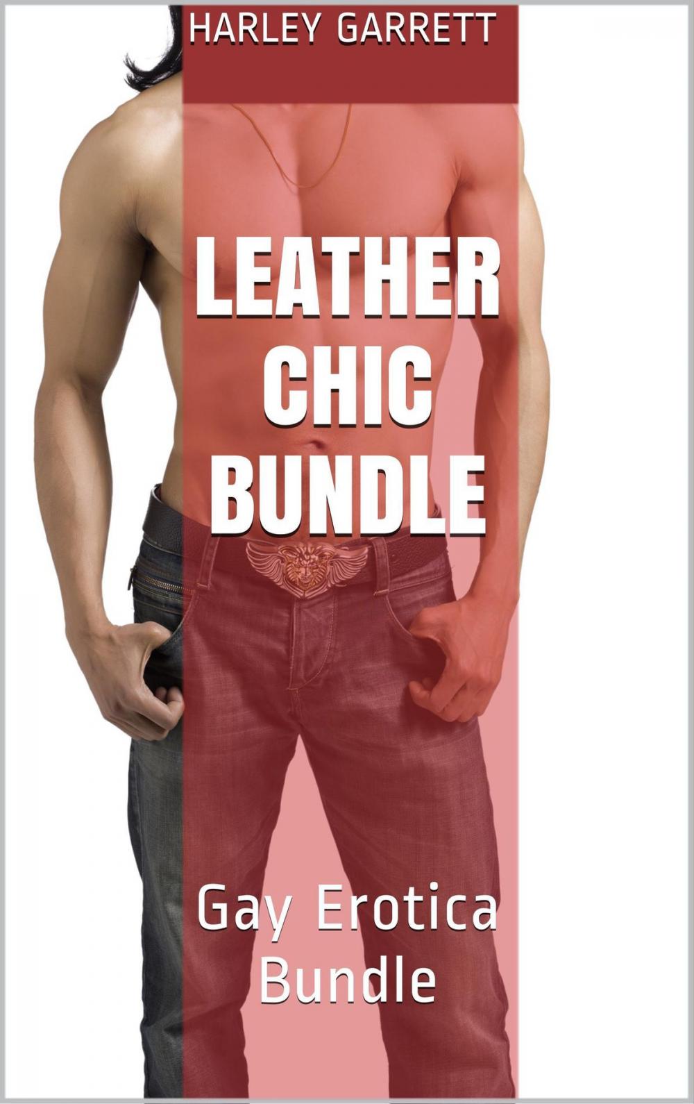 Big bigCover of Leather Chic Bundle # 1