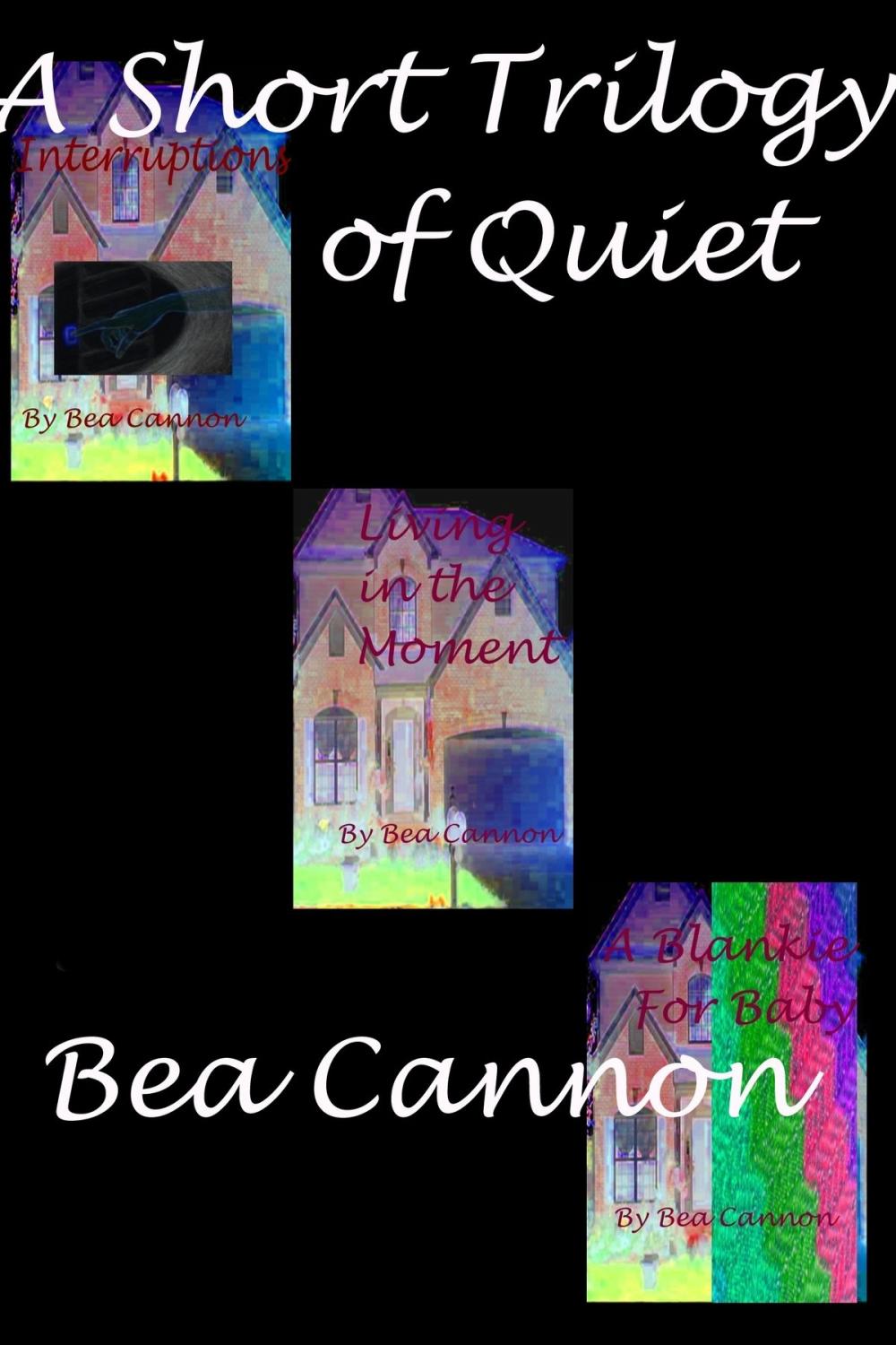 Big bigCover of A Short Trilogy of Quiet