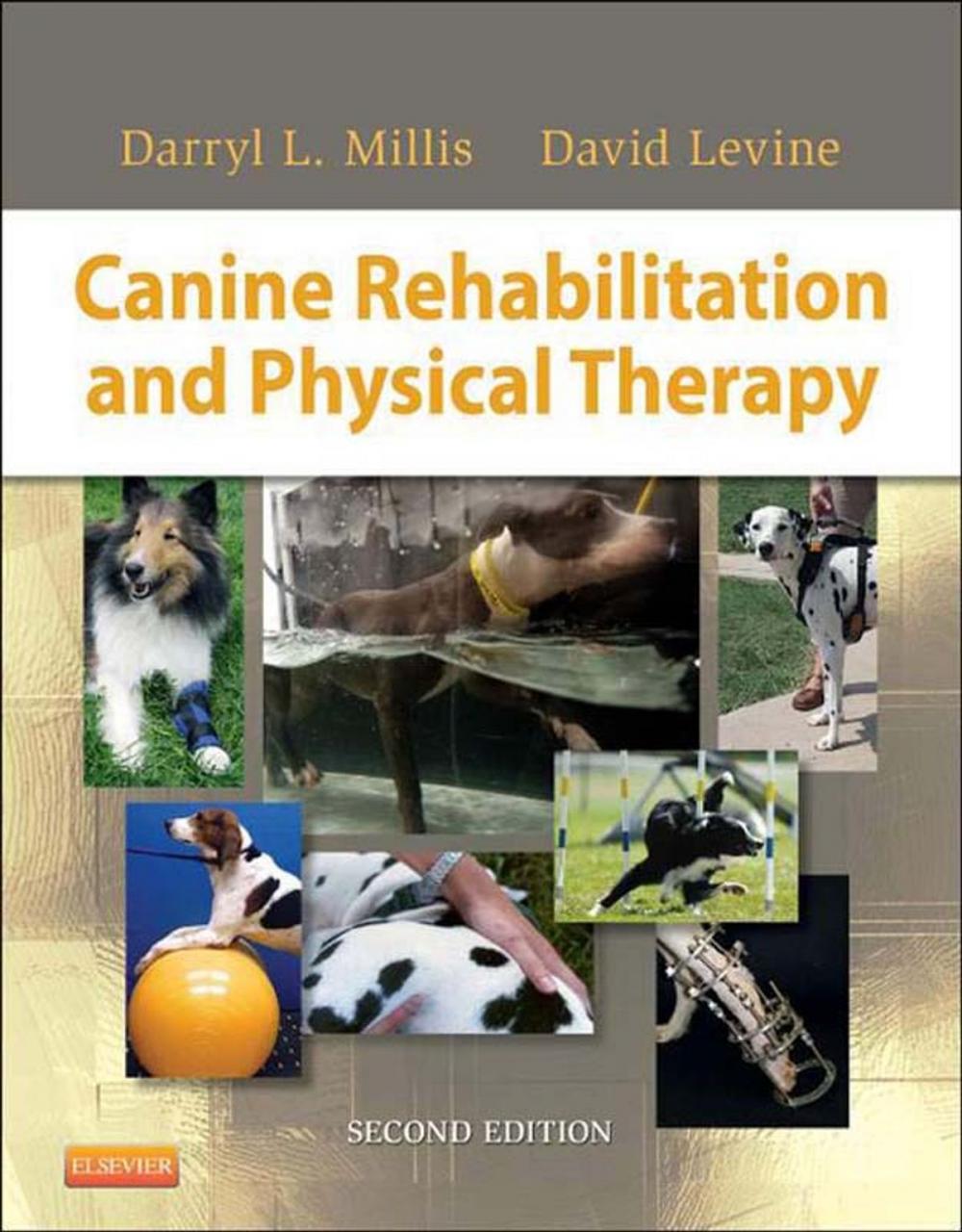 Big bigCover of Canine Rehabilitation and Physical Therapy - E-Book