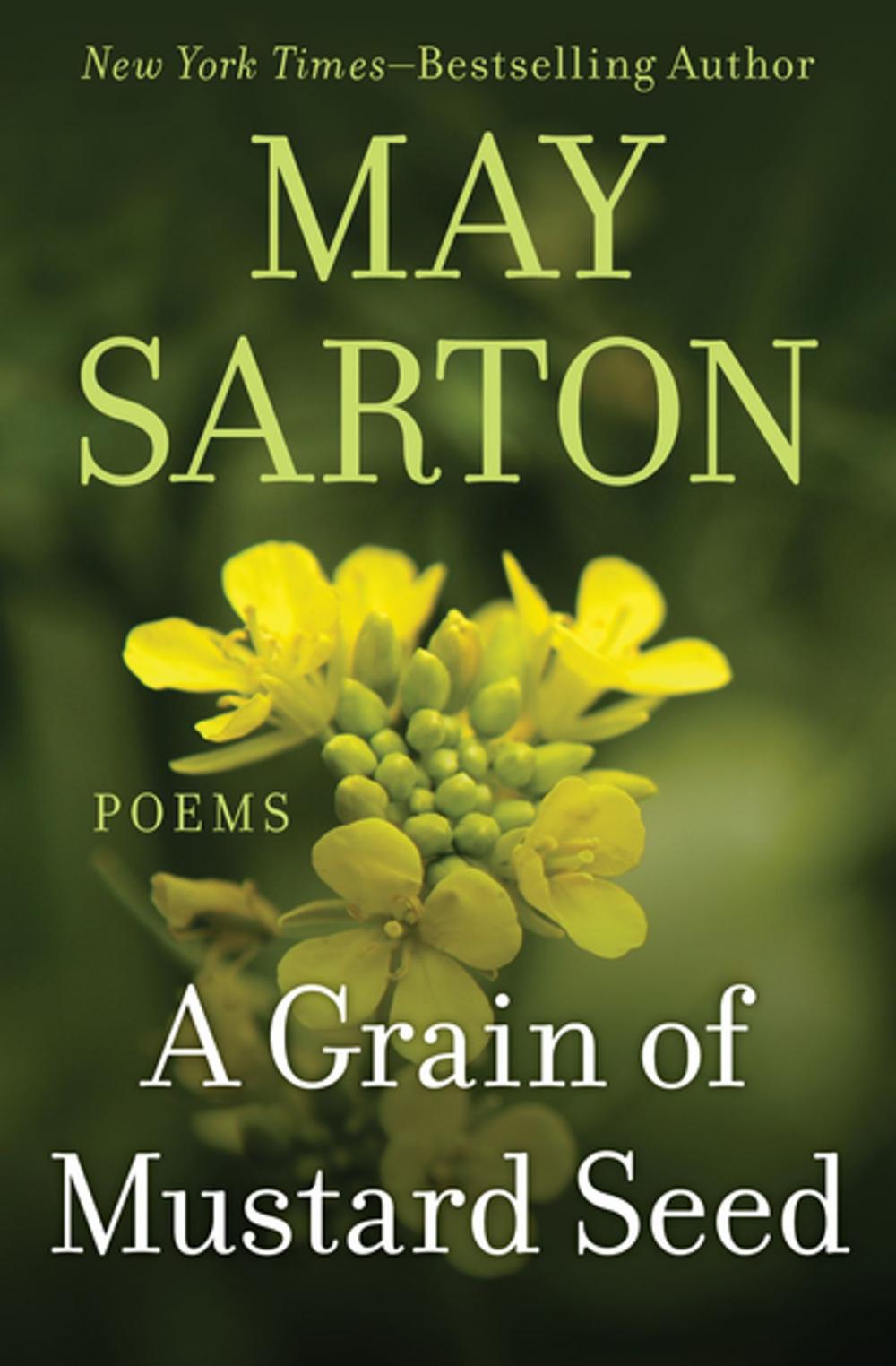 Big bigCover of A Grain of Mustard Seed