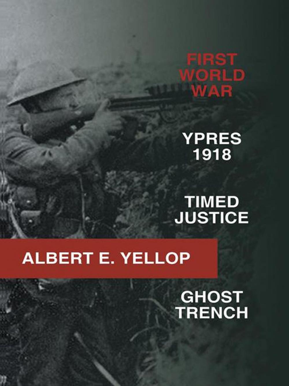 Big bigCover of First World War