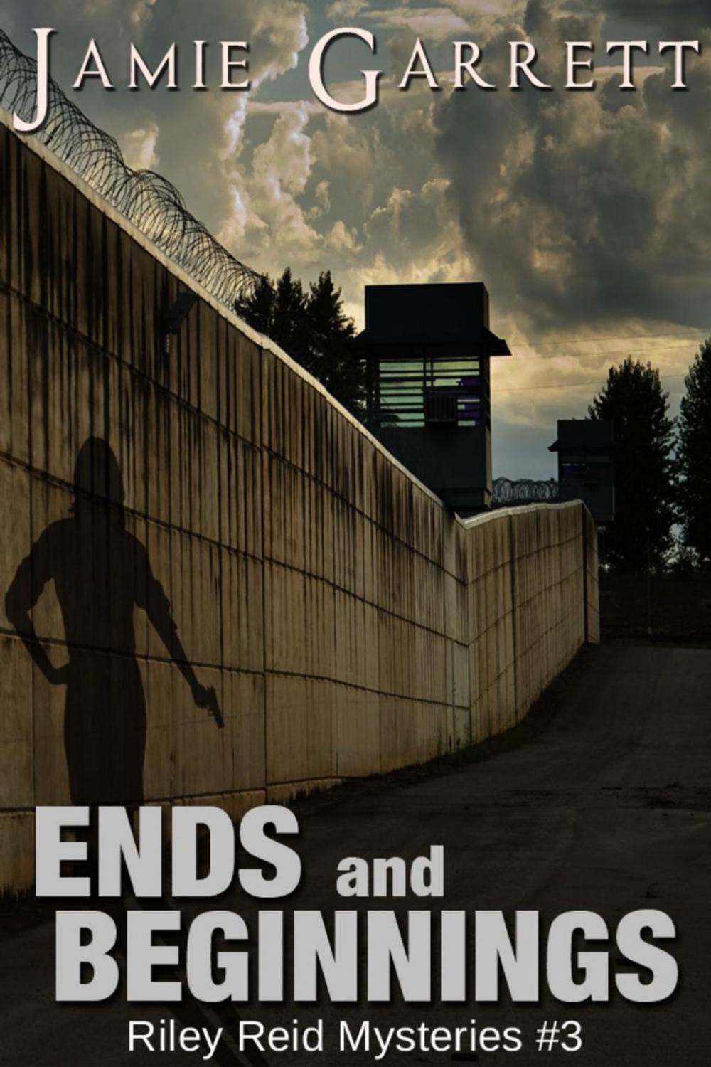Big bigCover of Ends and Beginnings - Book 3