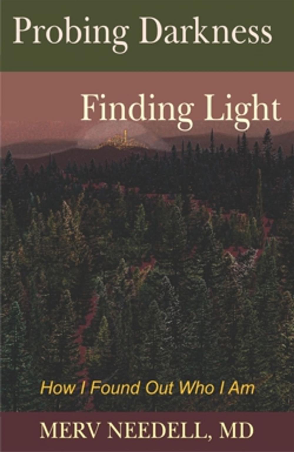 Big bigCover of Probing Darkness Finding Light