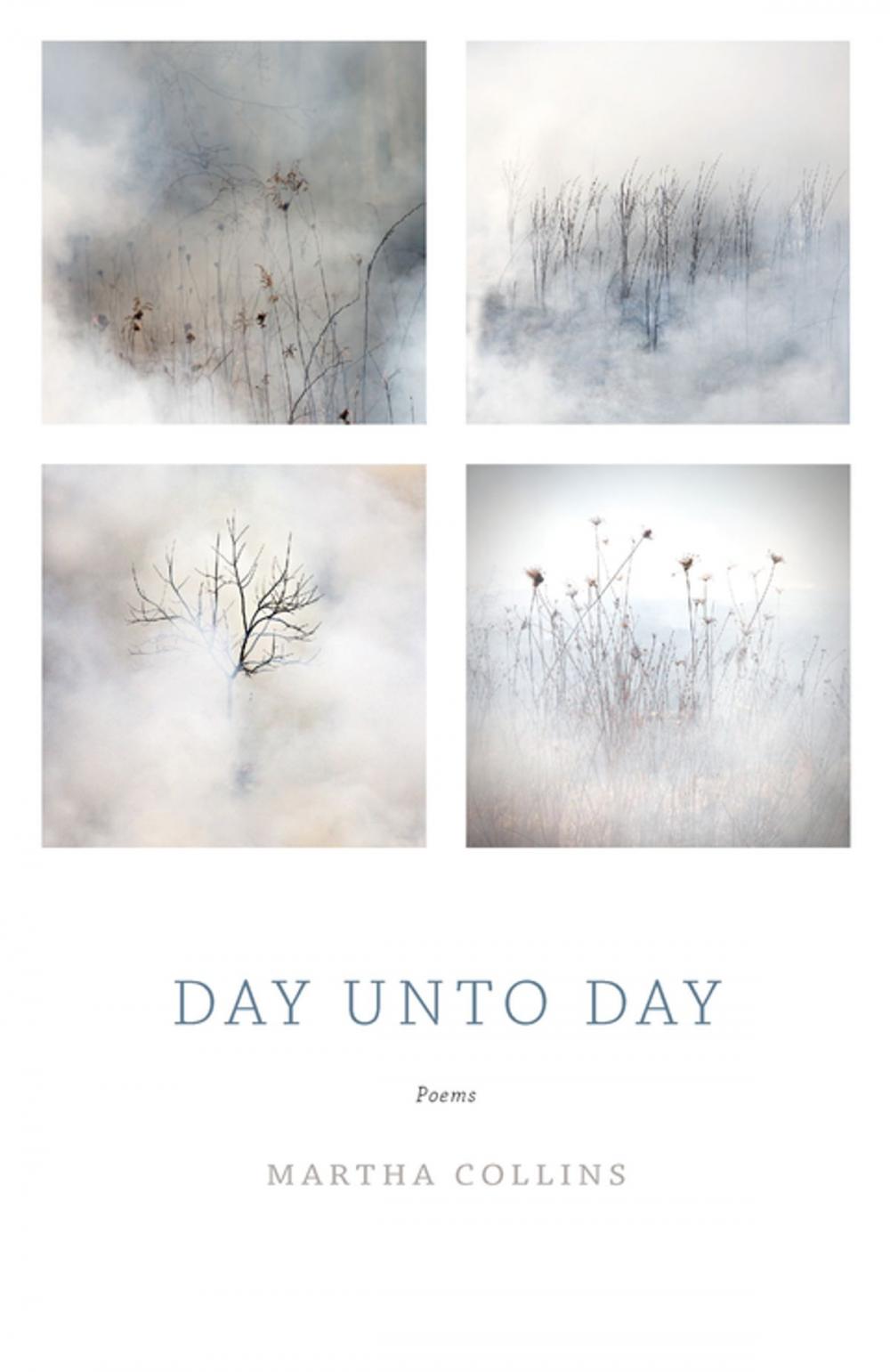 Big bigCover of Day Unto Day