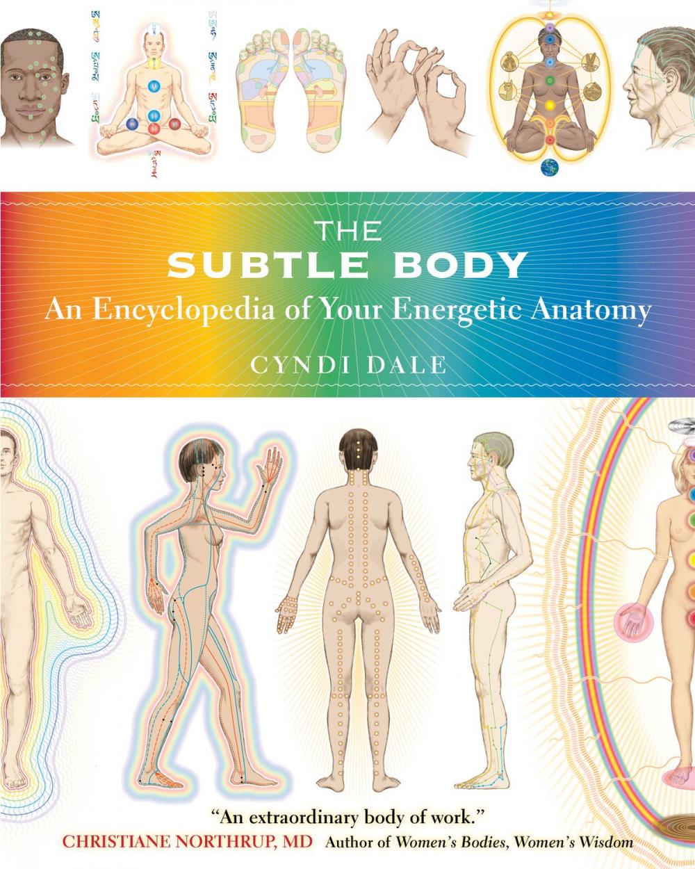Big bigCover of The Subtle Body