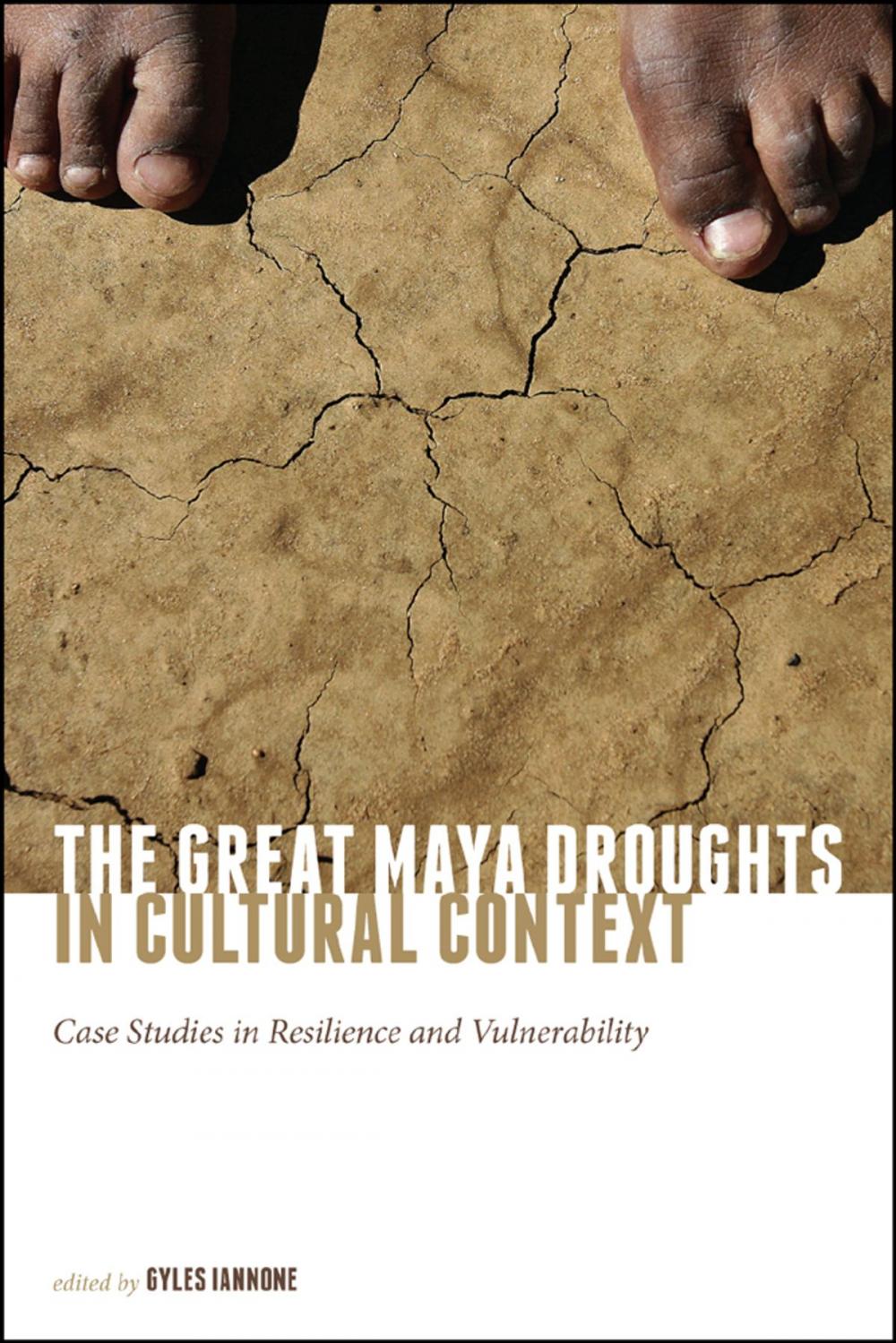 Big bigCover of The Great Maya Droughts in Cultural Context