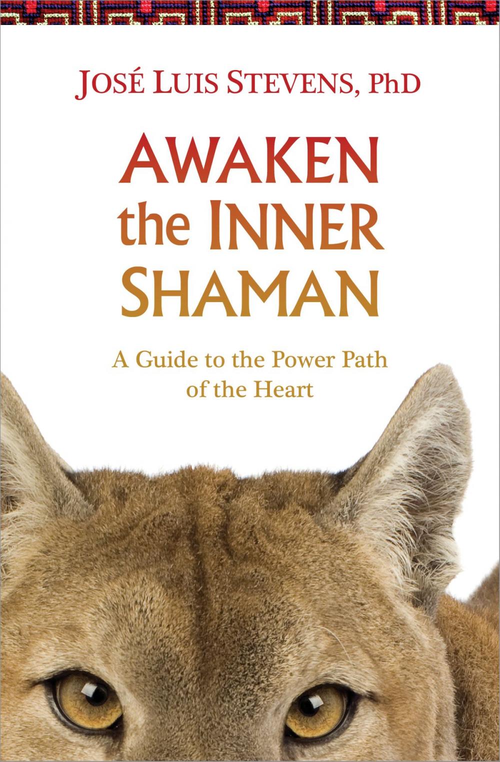 Big bigCover of Awaken the Inner Shaman