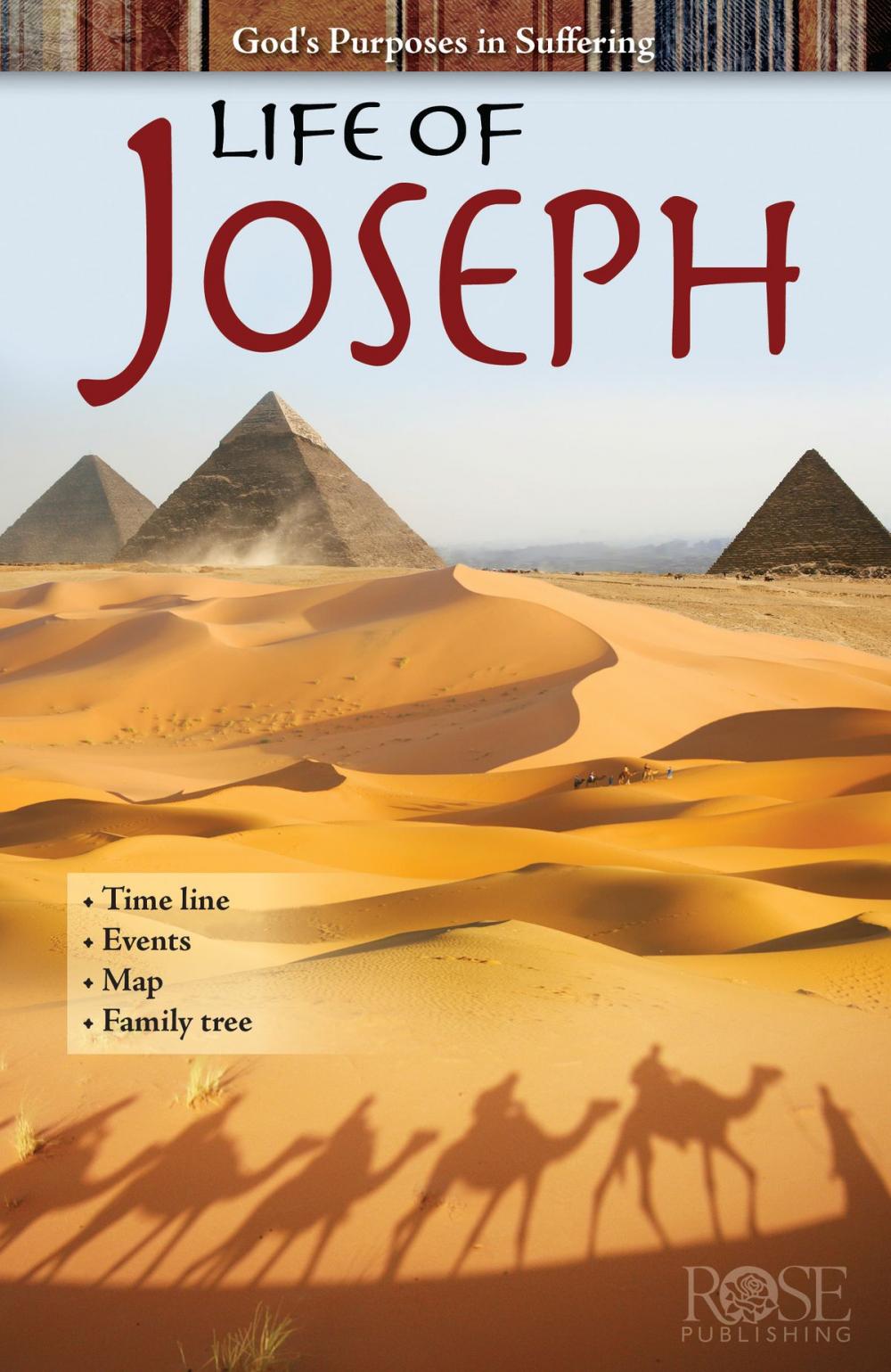 Big bigCover of Life of Joseph: God's Purposes in Suffering