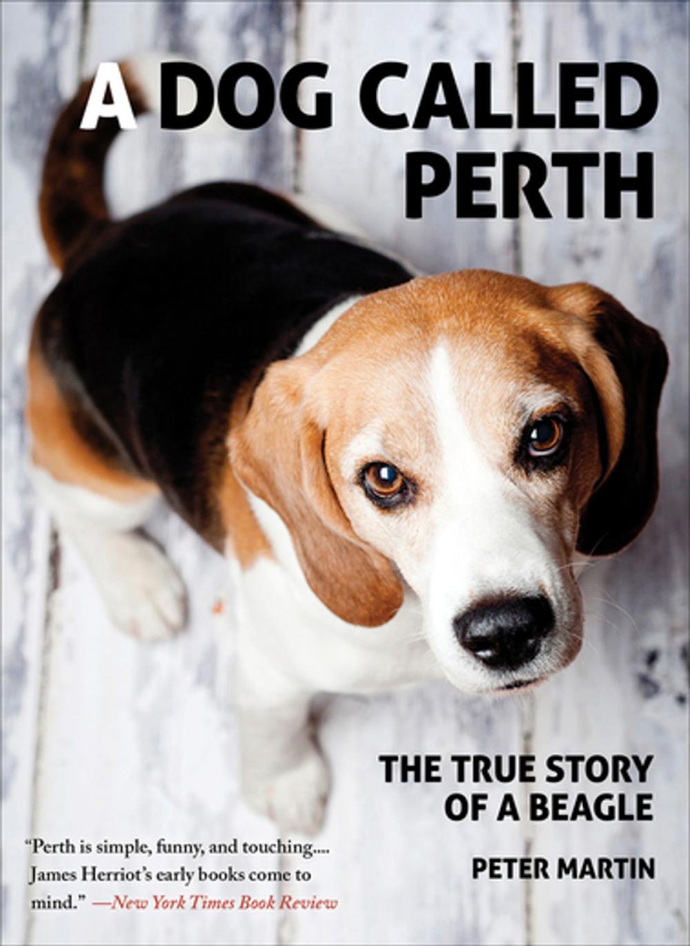 Big bigCover of A Dog Called Perth