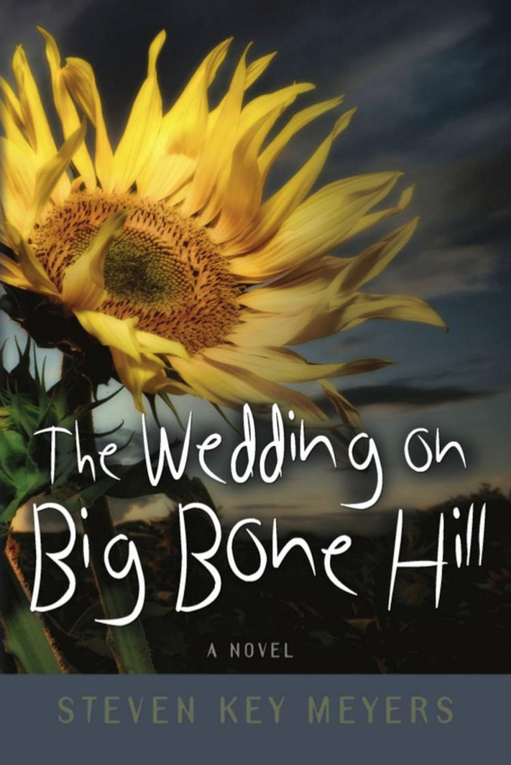 Big bigCover of The Wedding on Big Bone Hill