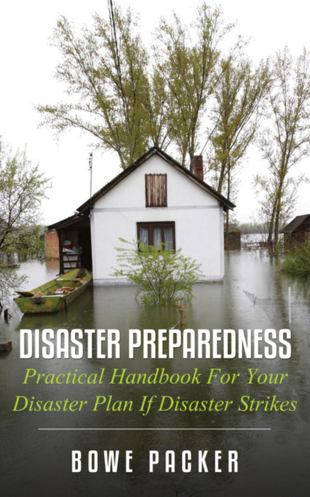 Big bigCover of Disaster Preparedness