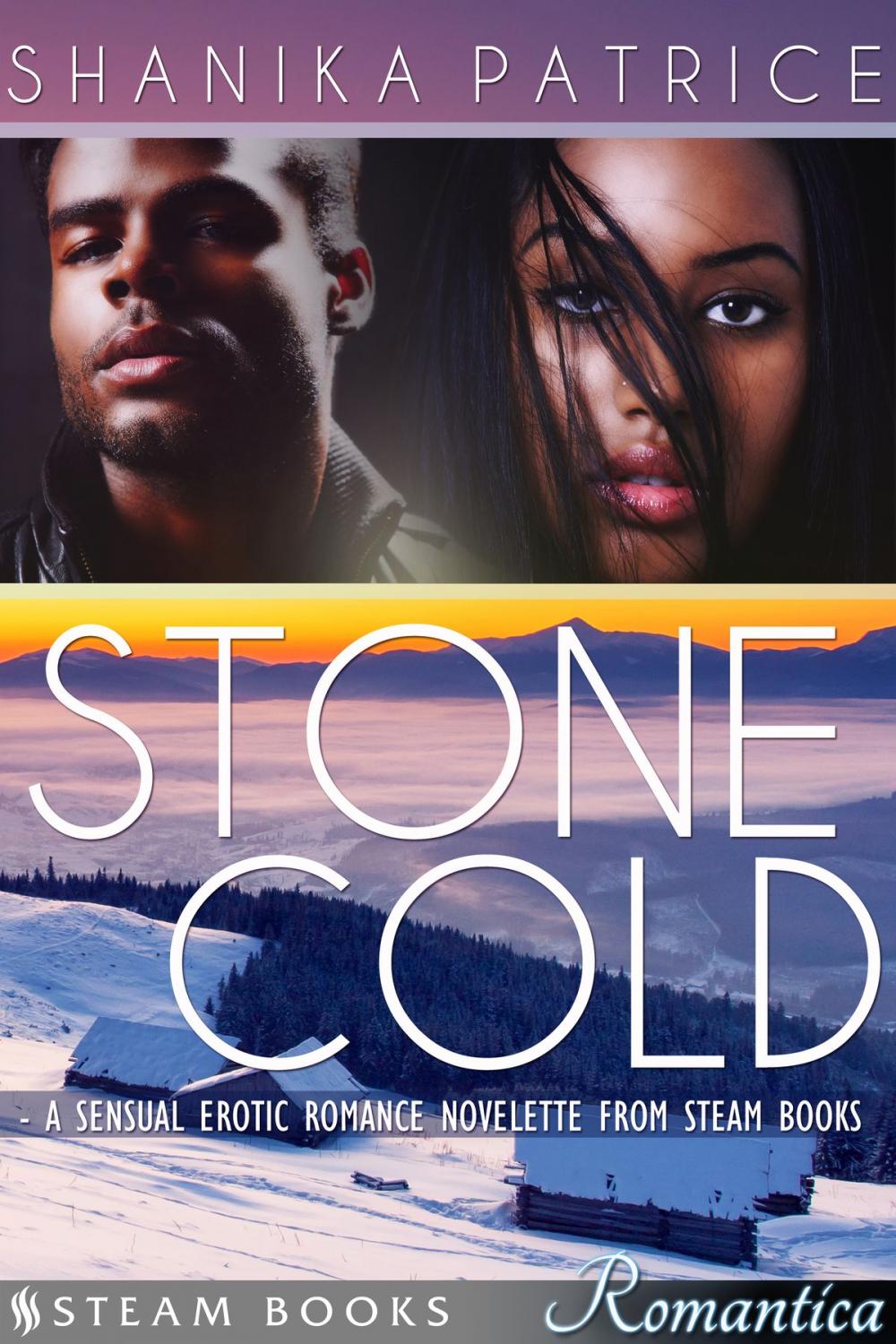 Big bigCover of Stone Cold - A Sexy Erotic Romance Novelette from Steam Books