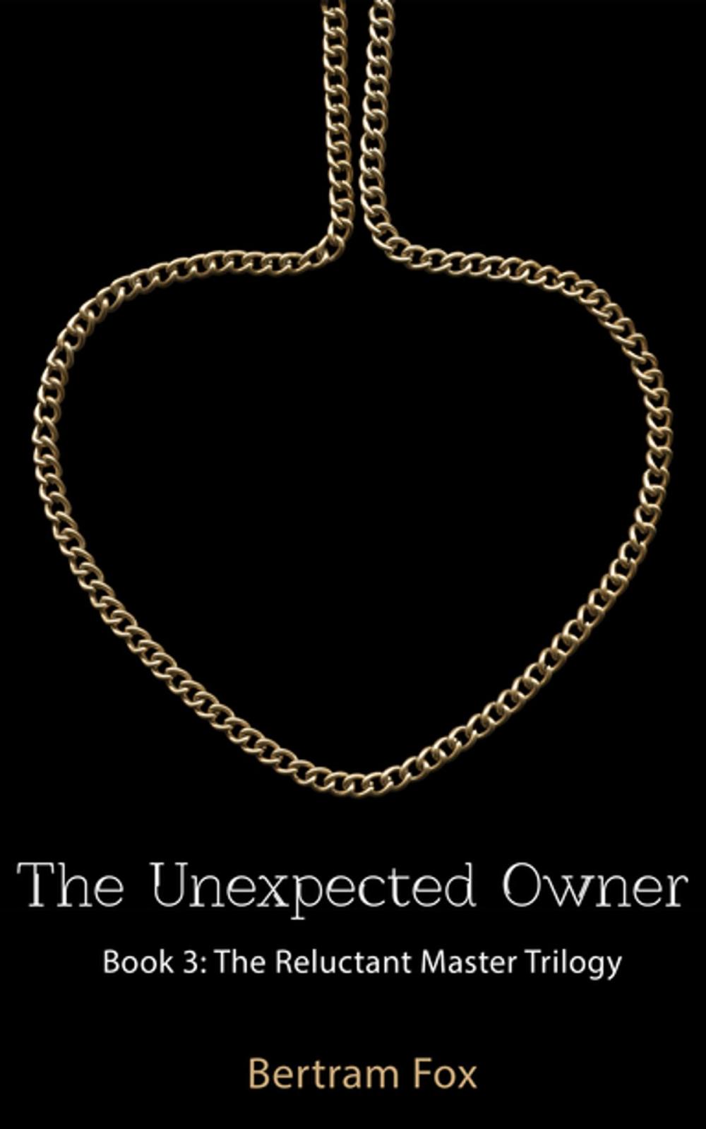 Big bigCover of The Unexpected Owner