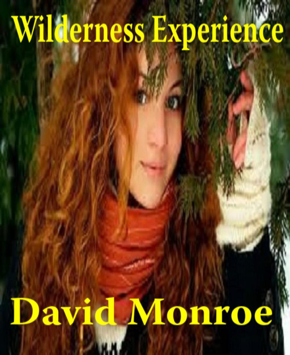 Big bigCover of Wilderness Experience, A Short Story